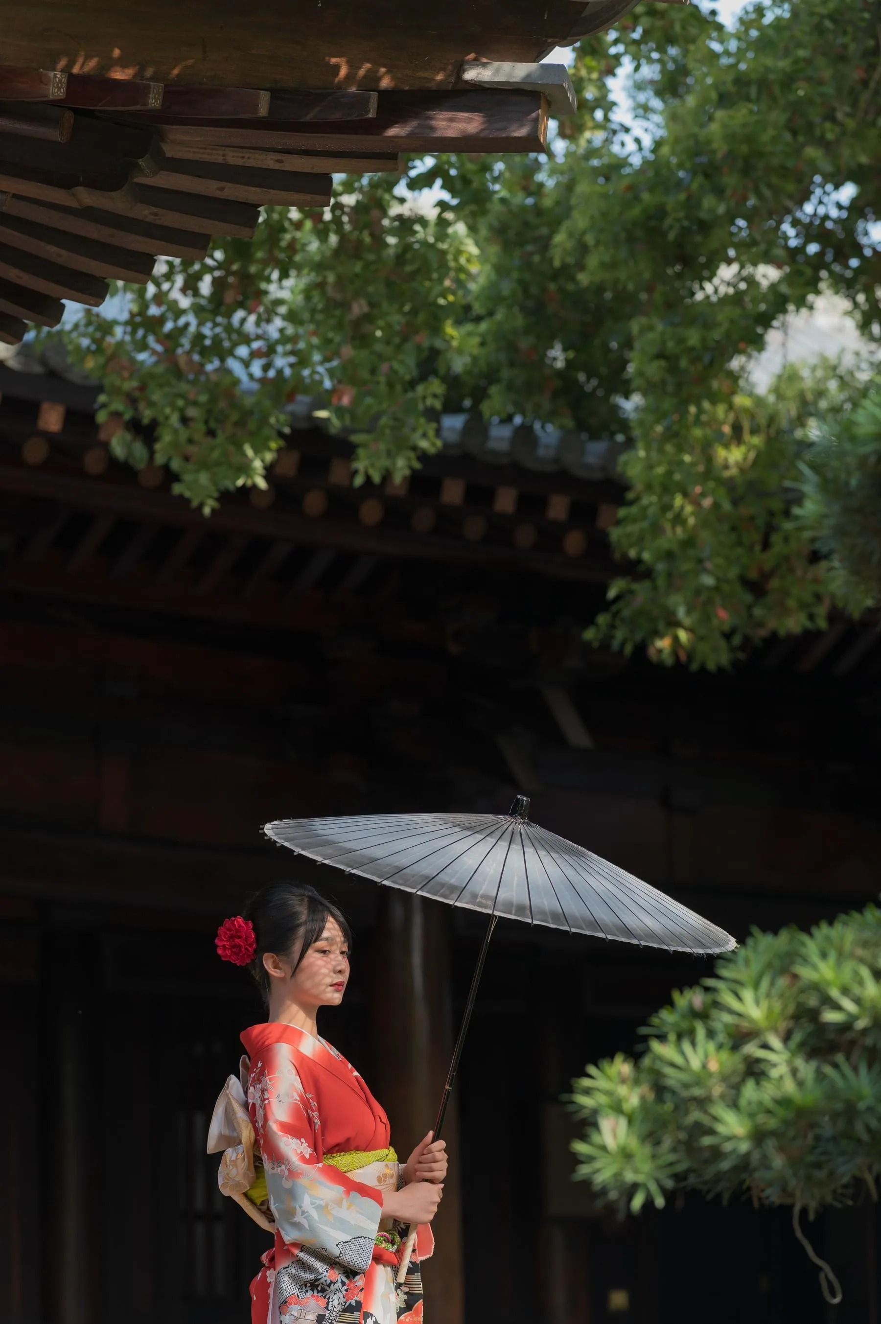 [艺图语] 2022.06.15 晚唐和风 杨馥羽 [30P]插图9